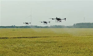 �Ӳ��̺�������̬���� ���ع����Ϳա�Эͬ��������Ϊ��Ҫ���Էɳ���