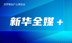 �»�ȫý+��̽��2025�������ܲ�ҵ������