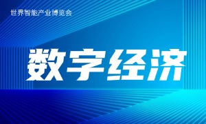 ���ӡ�������������2025���ҹ����ֲ�ҵ���볬38����Ԫ