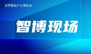 �ǲ��Ἧ�з������оƬ��������Ʒ