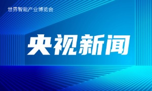 �������ţ�2025�������ܲ�ҵ������ ������������ ��չӦ���³���