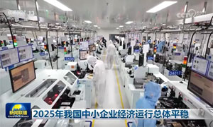 ���ӡ�������������2025���ҹ���С��ҵ������������ƽ��